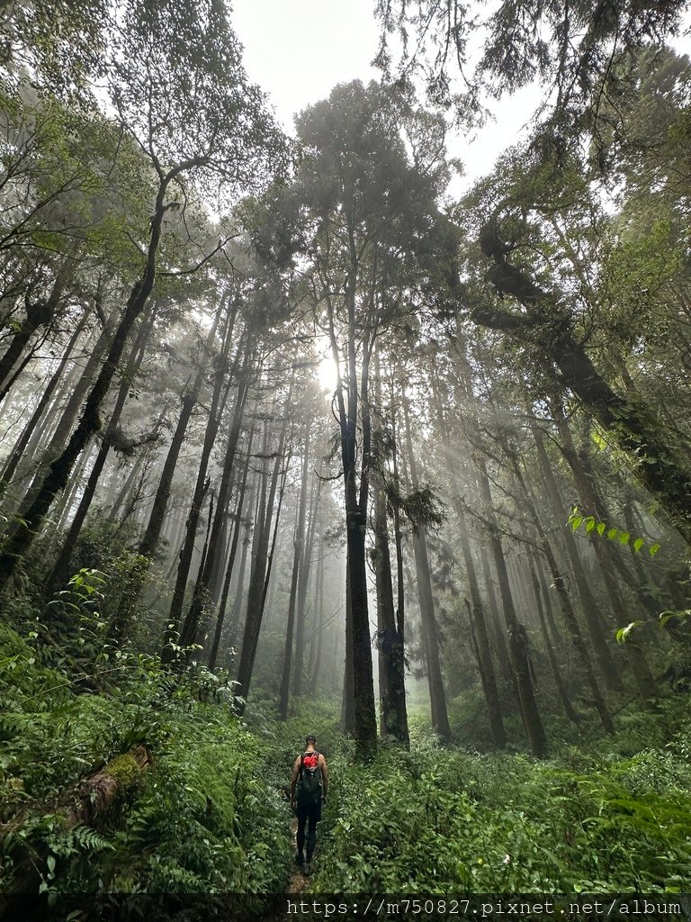 【親子登山】2023-10-14 留龍頭經嶺頭山上金柑樹山~