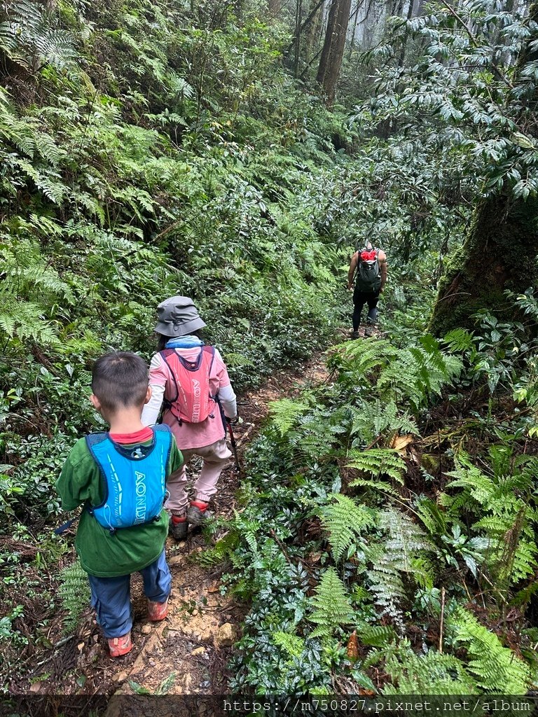 【親子登山】2023-10-14 留龍頭經嶺頭山上金柑樹山~