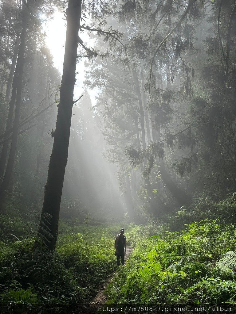 【親子登山】2023-10-14 留龍頭經嶺頭山上金柑樹山~