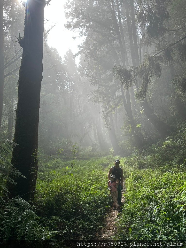 【親子登山】2023-10-14 留龍頭經嶺頭山上金柑樹山~
