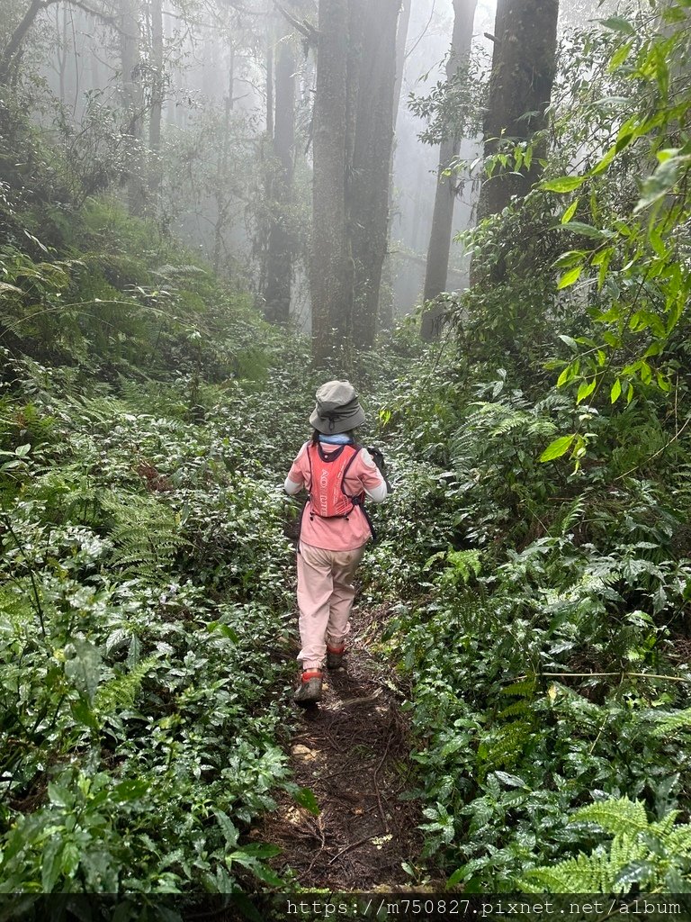 【親子登山】2023-10-14 留龍頭經嶺頭山上金柑樹山~
