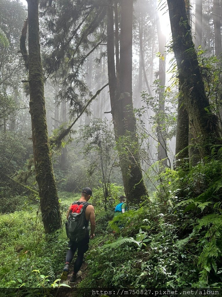 【親子登山】2023-10-14 留龍頭經嶺頭山上金柑樹山~