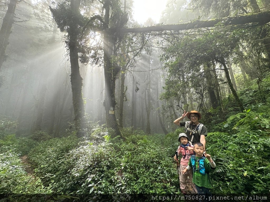 【親子登山】2023-10-14 留龍頭經嶺頭山上金柑樹山~