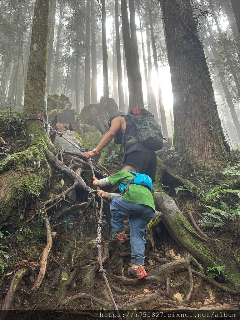 【親子登山】2023-10-14 留龍頭經嶺頭山上金柑樹山~