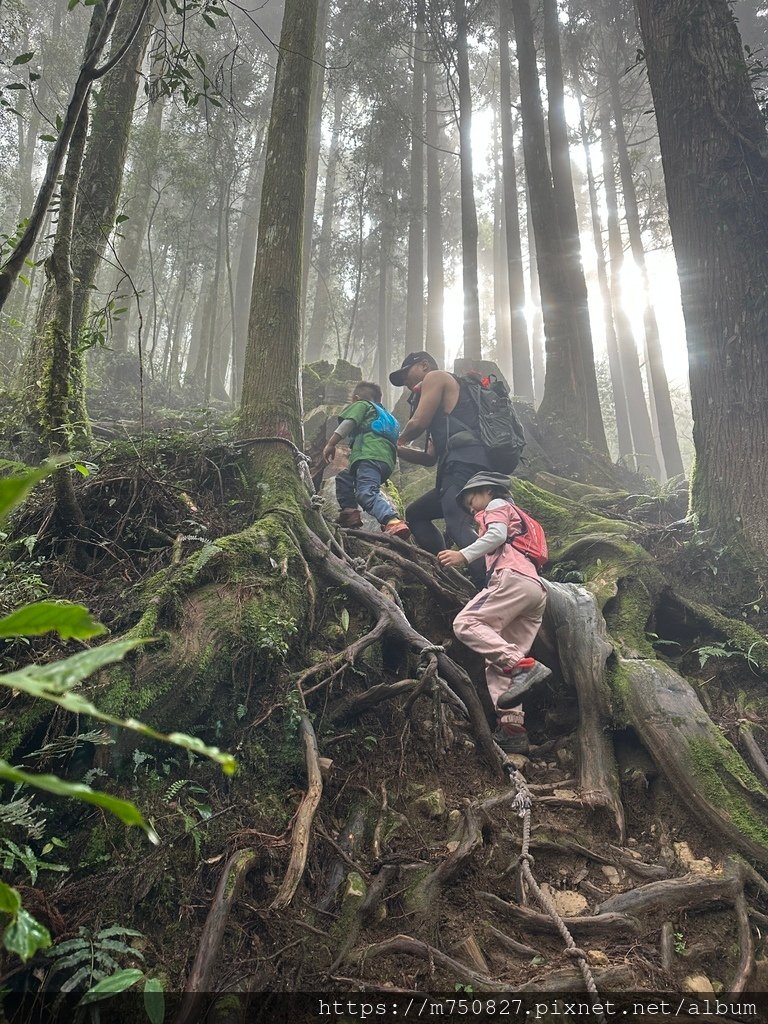 【親子登山】2023-10-14 留龍頭經嶺頭山上金柑樹山~