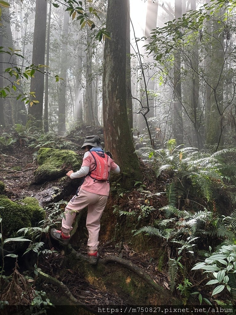 【親子登山】2023-10-14 留龍頭經嶺頭山上金柑樹山~