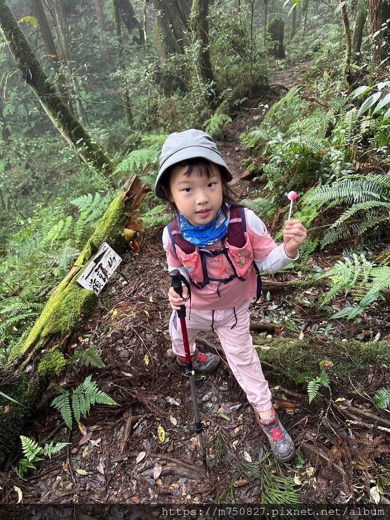 【親子登山】2023-10-14 留龍頭經嶺頭山上金柑樹山~