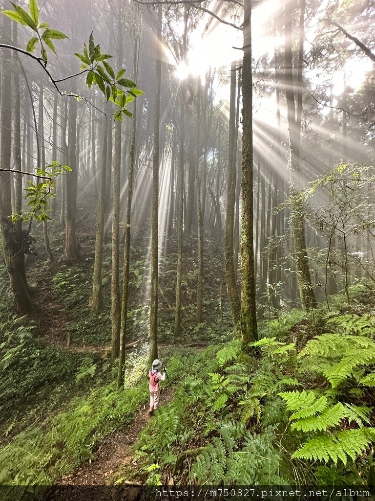 【親子登山】2023-10-14 留龍頭經嶺頭山上金柑樹山~
