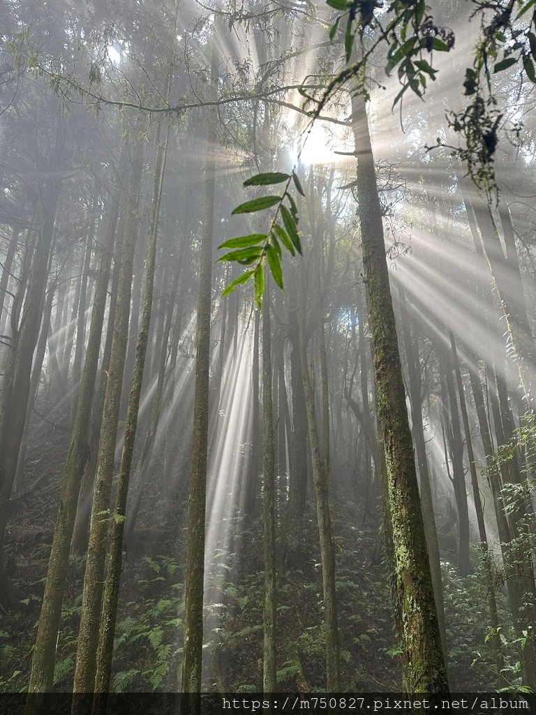 【親子登山】2023-10-14 留龍頭經嶺頭山上金柑樹山~