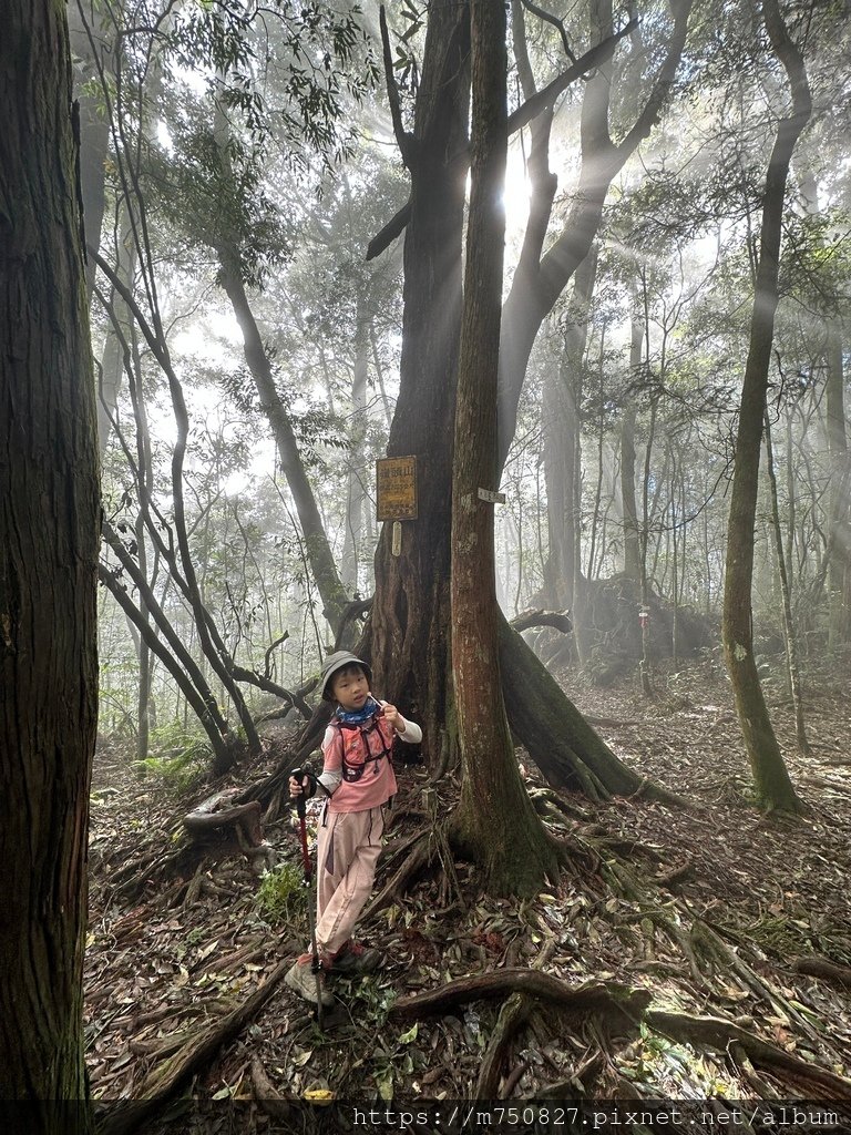 【親子登山】2023-10-14 留龍頭經嶺頭山上金柑樹山~