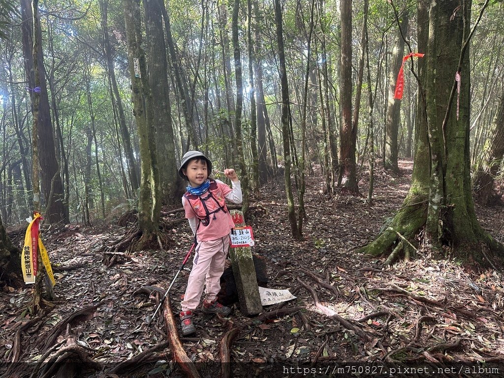 【親子登山】2023-10-14 留龍頭經嶺頭山上金柑樹山~