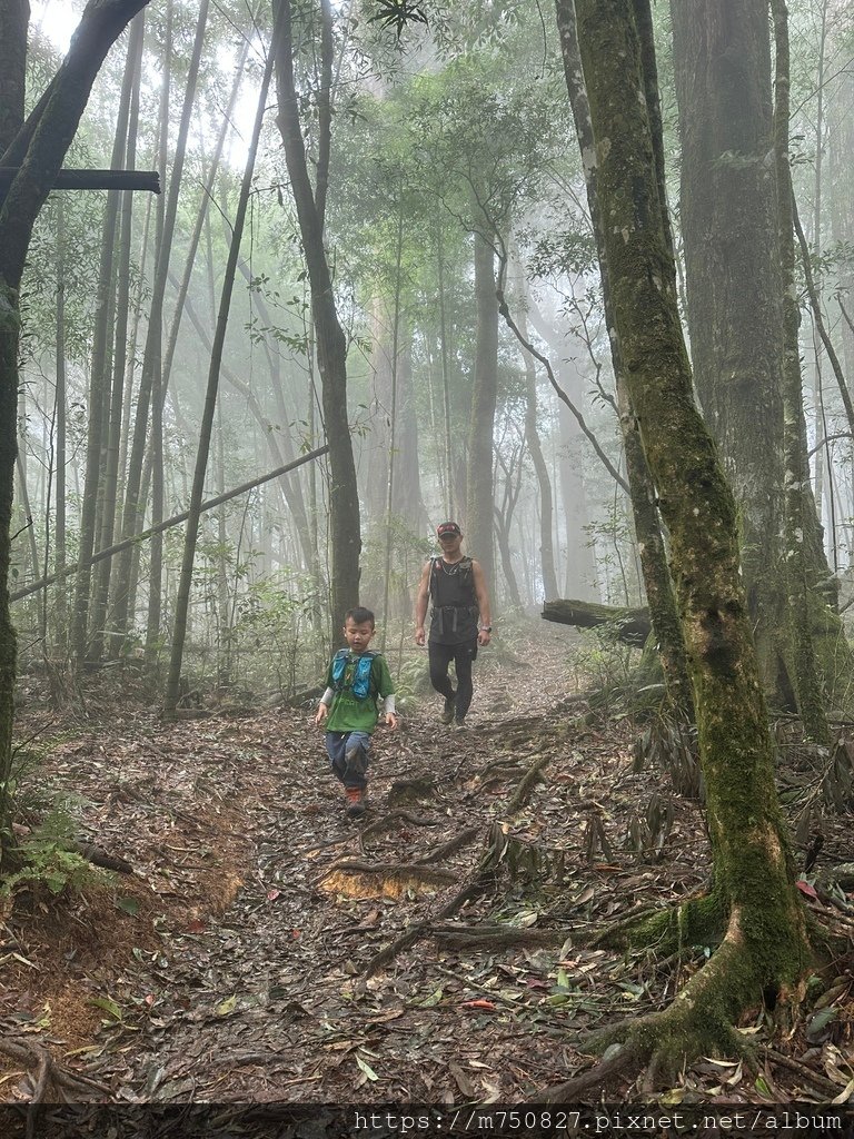 【親子登山】2023-10-14 留龍頭經嶺頭山上金柑樹山~