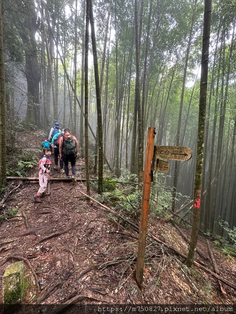 【親子登山】2023-10-14 留龍頭經嶺頭山上金柑樹山~