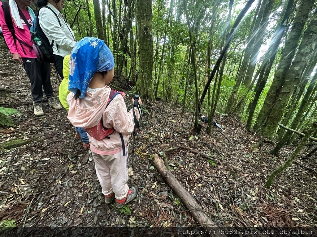 【親子登山】2023-10-14 留龍頭經嶺頭山上金柑樹山~