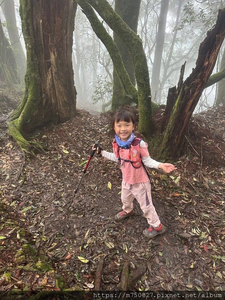 【親子登山】2023-10-14 留龍頭經嶺頭山上金柑樹山~