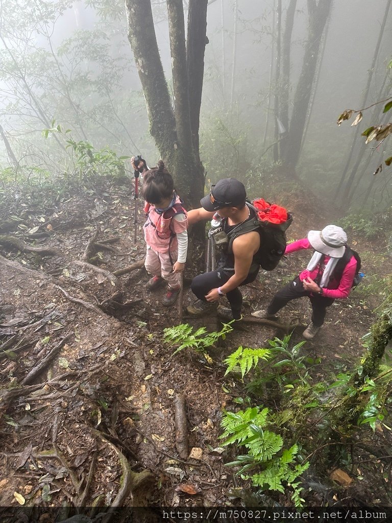 【親子登山】2023-10-14 留龍頭經嶺頭山上金柑樹山~