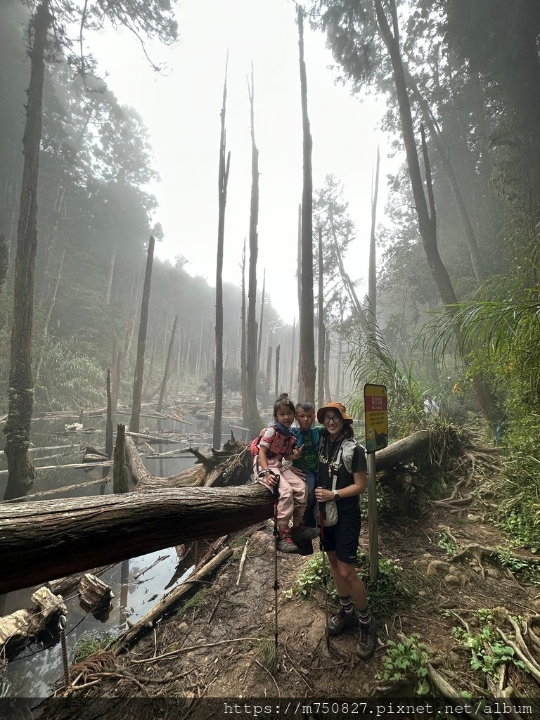 【親子登山】2023-10-14 留龍頭經嶺頭山上金柑樹山~