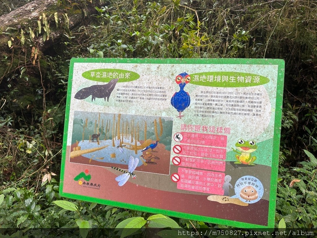 【親子登山】2023-10-14 留龍頭經嶺頭山上金柑樹山~