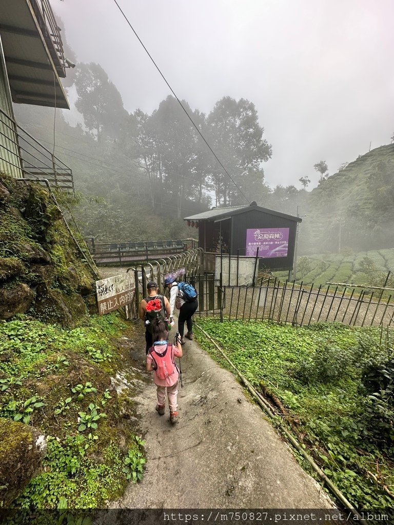 【親子登山】2023-10-14 留龍頭經嶺頭山上金柑樹山~