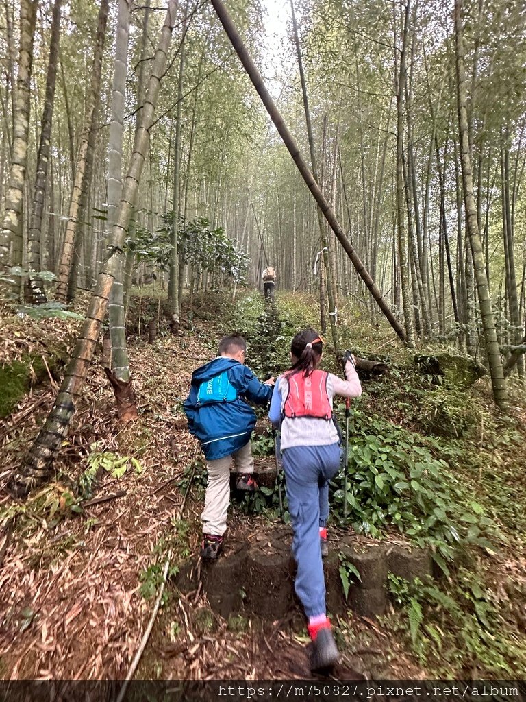 【親子登山】2023-10-28大石公上樟空崙步道~連走武岫