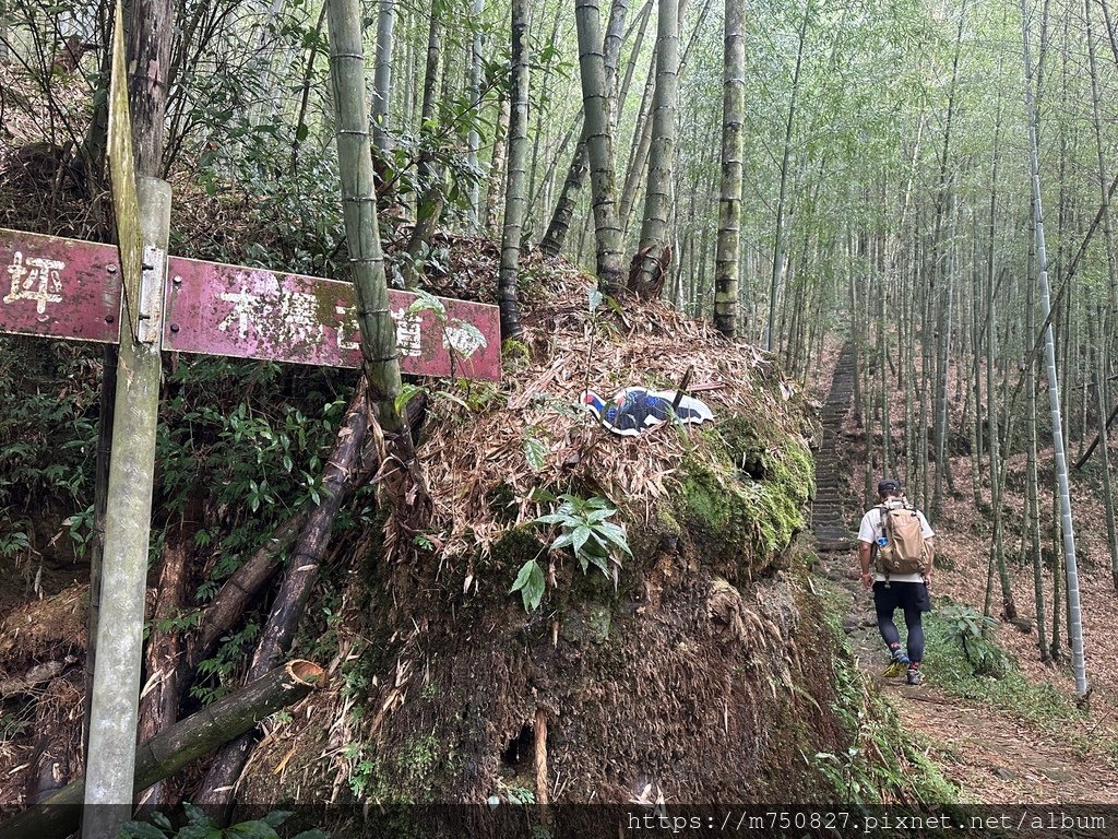 【親子登山】2023-10-28大石公上樟空崙步道~連走武岫