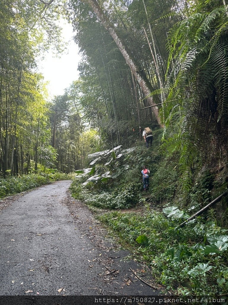 【親子登山】2023-10-28大石公上樟空崙步道~連走武岫