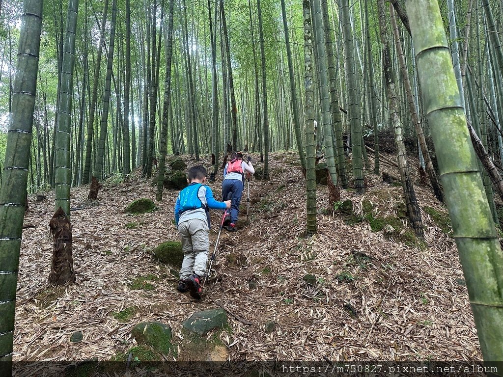 【親子登山】2023-10-28大石公上樟空崙步道~連走武岫