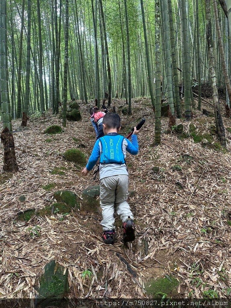 【親子登山】2023-10-28大石公上樟空崙步道~連走武岫