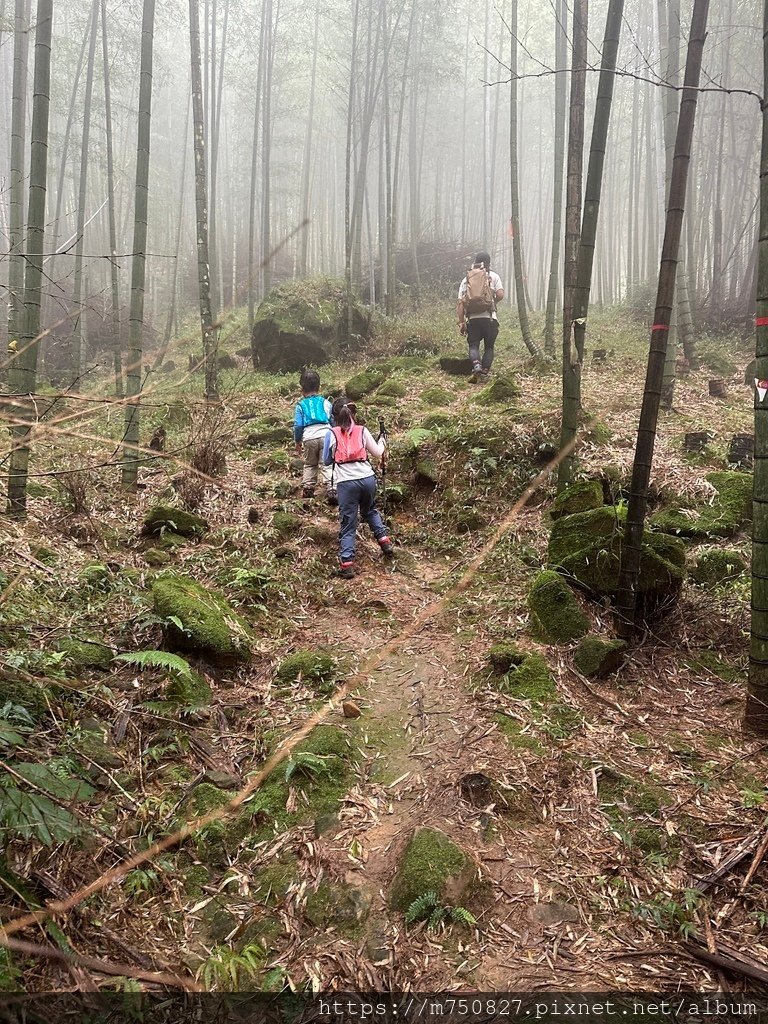 【親子登山】2023-10-28大石公上樟空崙步道~連走武岫