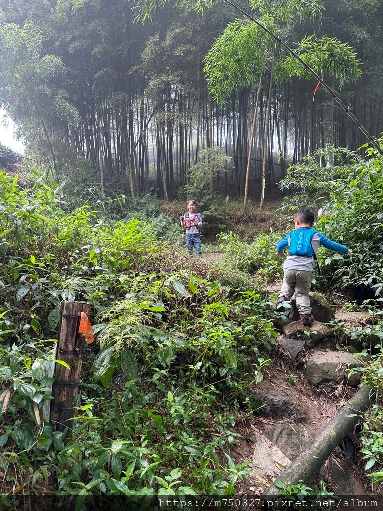 【親子登山】2023-10-28大石公上樟空崙步道~連走武岫