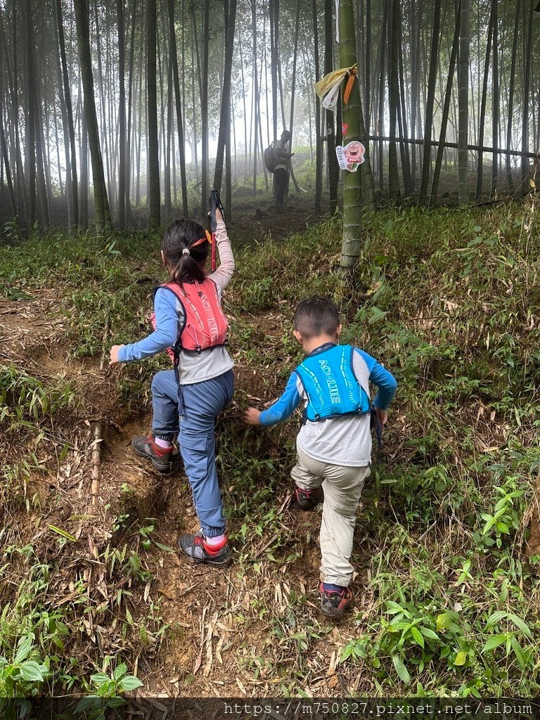 【親子登山】2023-10-28大石公上樟空崙步道~連走武岫