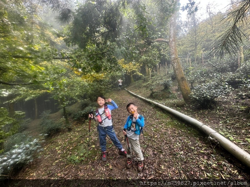 【親子登山】2023-10-28大石公上樟空崙步道~連走武岫