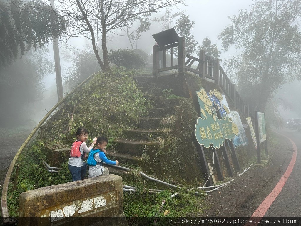 【親子登山】2023-10-28大石公上樟空崙步道~連走武岫