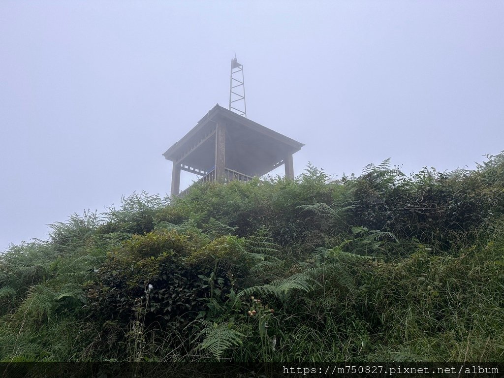 【親子登山】2023-10-28大石公上樟空崙步道~連走武岫