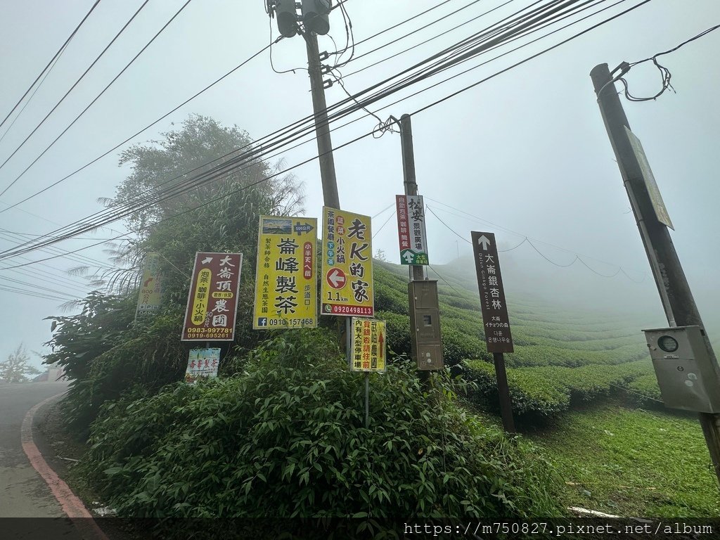 【親子登山】2023-10-28大石公上樟空崙步道~連走武岫