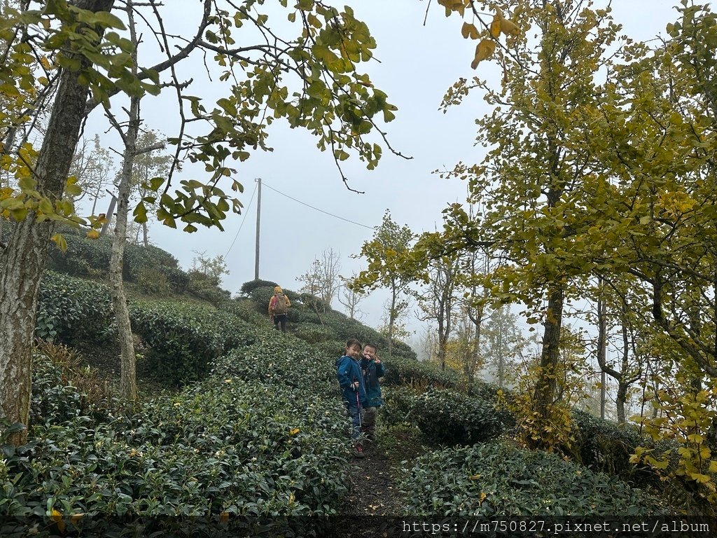 【親子登山】2023-10-28大石公上樟空崙步道~連走武岫