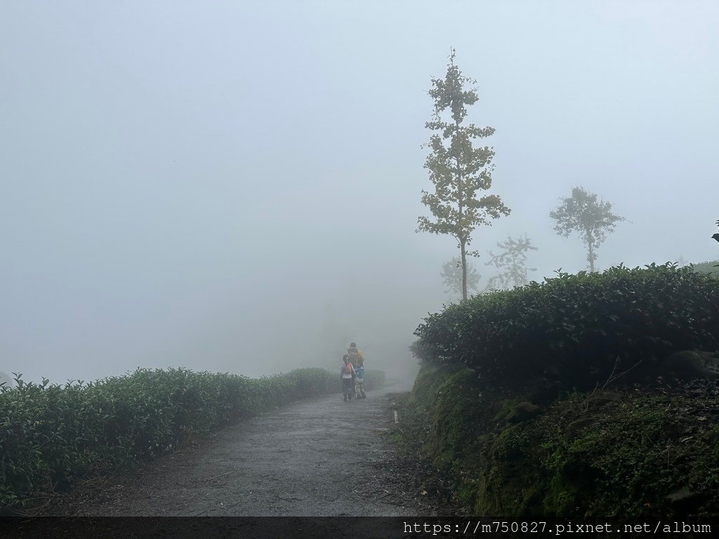 【親子登山】2023-10-28大石公上樟空崙步道~連走武岫