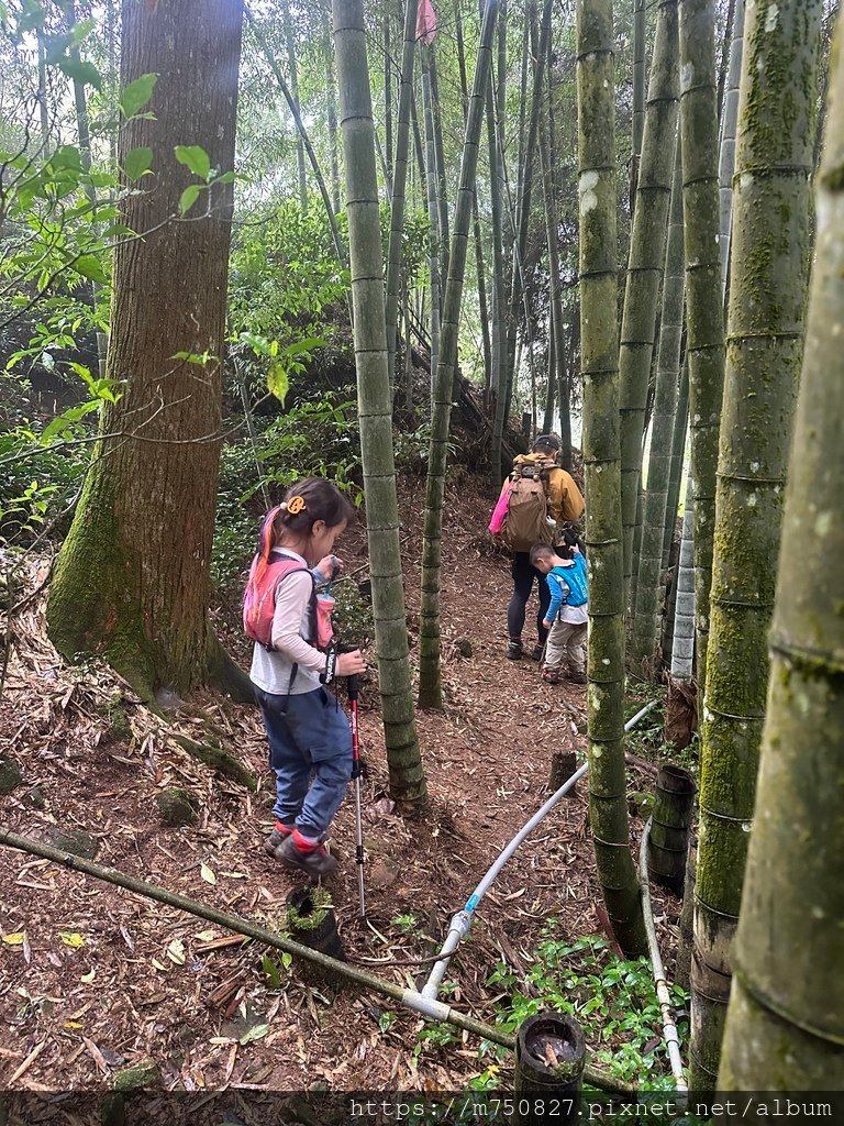 【親子登山】2023-10-28大石公上樟空崙步道~連走武岫