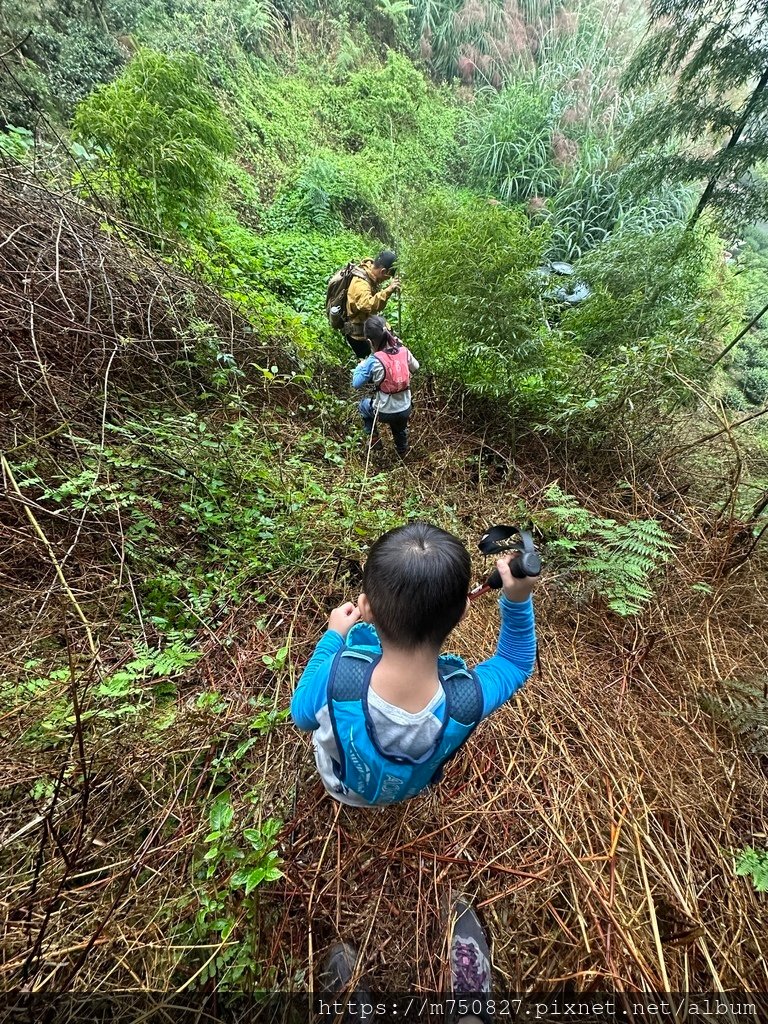 【親子登山】2023-10-28大石公上樟空崙步道~連走武岫