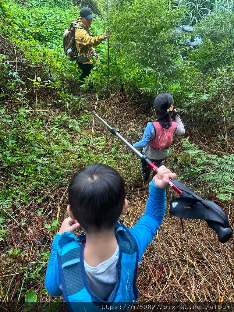 【親子登山】2023-10-28大石公上樟空崙步道~連走武岫