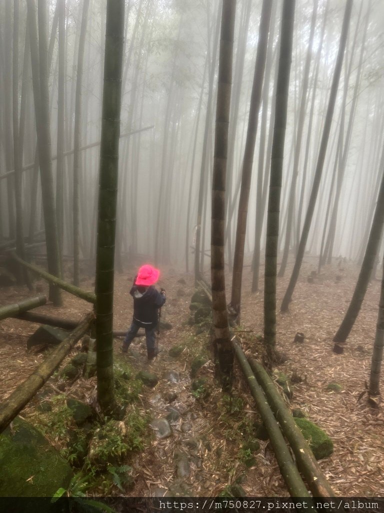 【親子登山】2023-10-28大石公上樟空崙步道~連走武岫