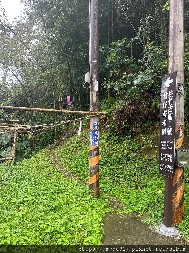 【親子登山】2023-10-28大石公上樟空崙步道~連走武岫