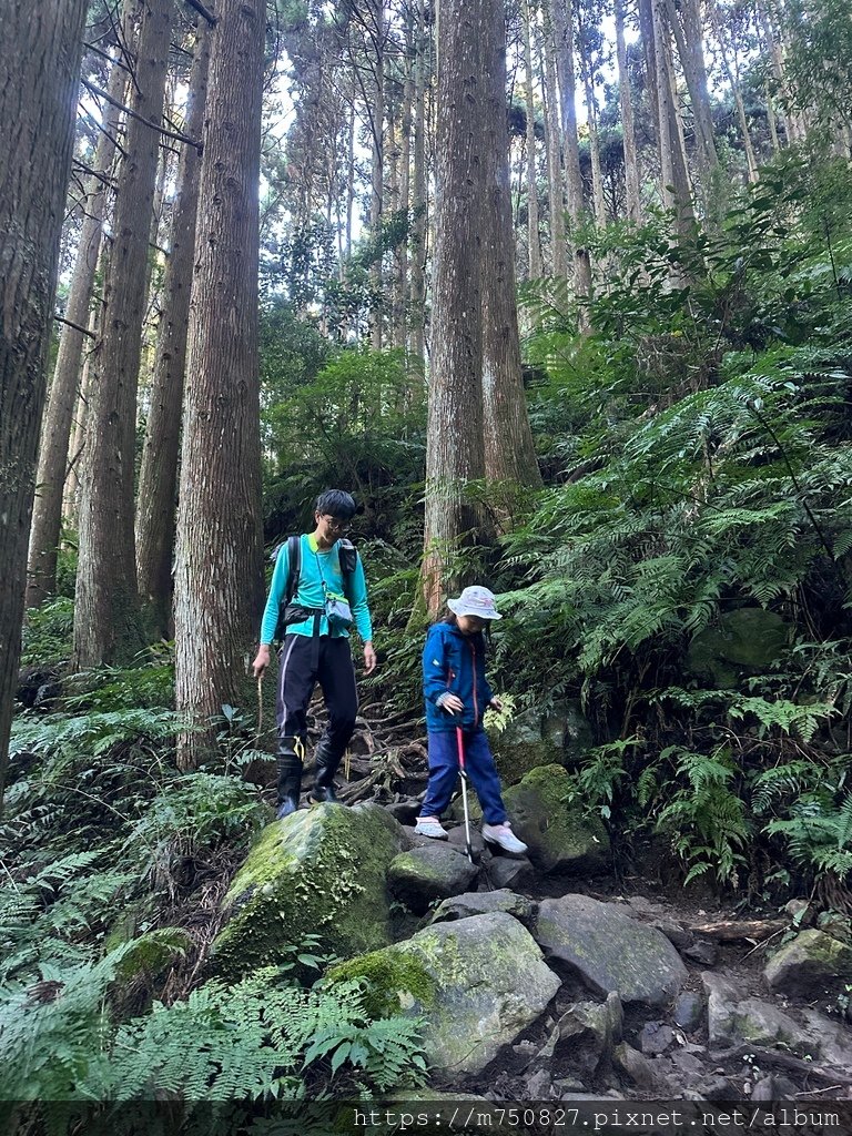 【親子登山】2023-12-09鹿場上加里山