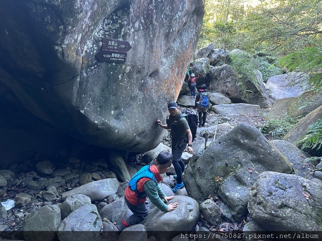 【親子登山】2023-12-09鹿場上加里山