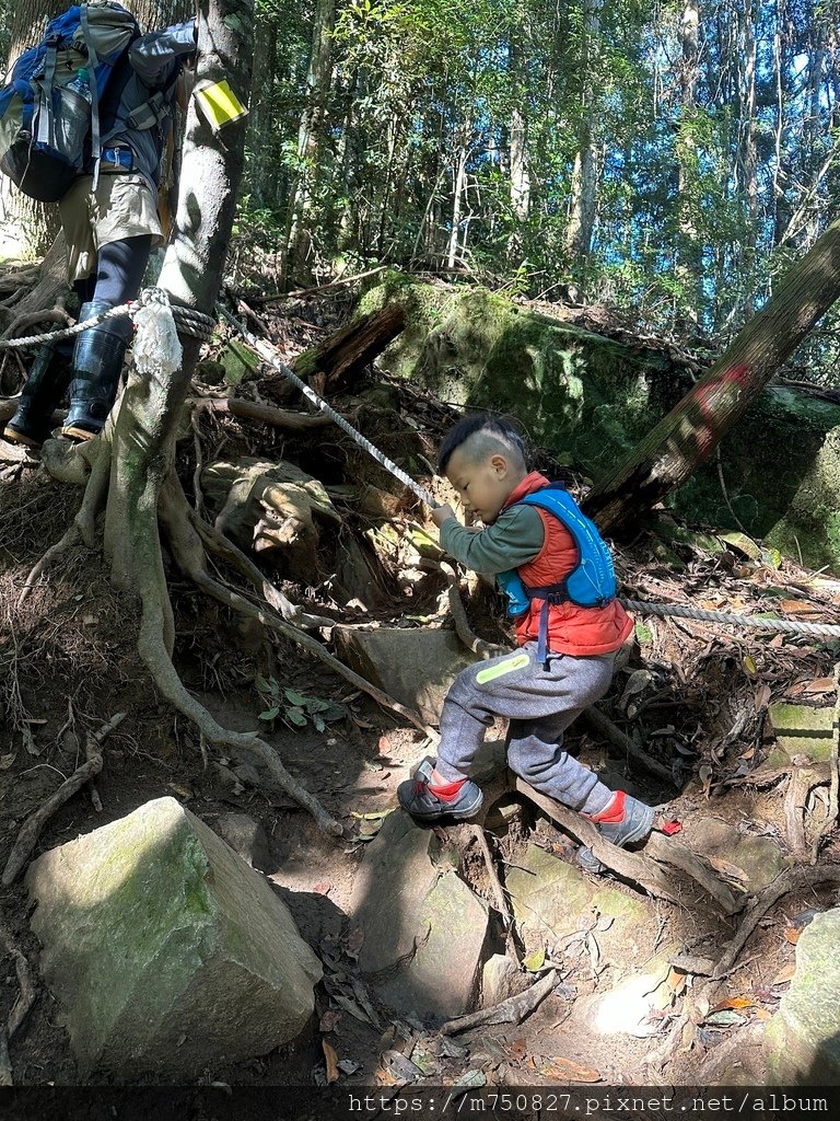 【親子登山】2023-12-09鹿場上加里山