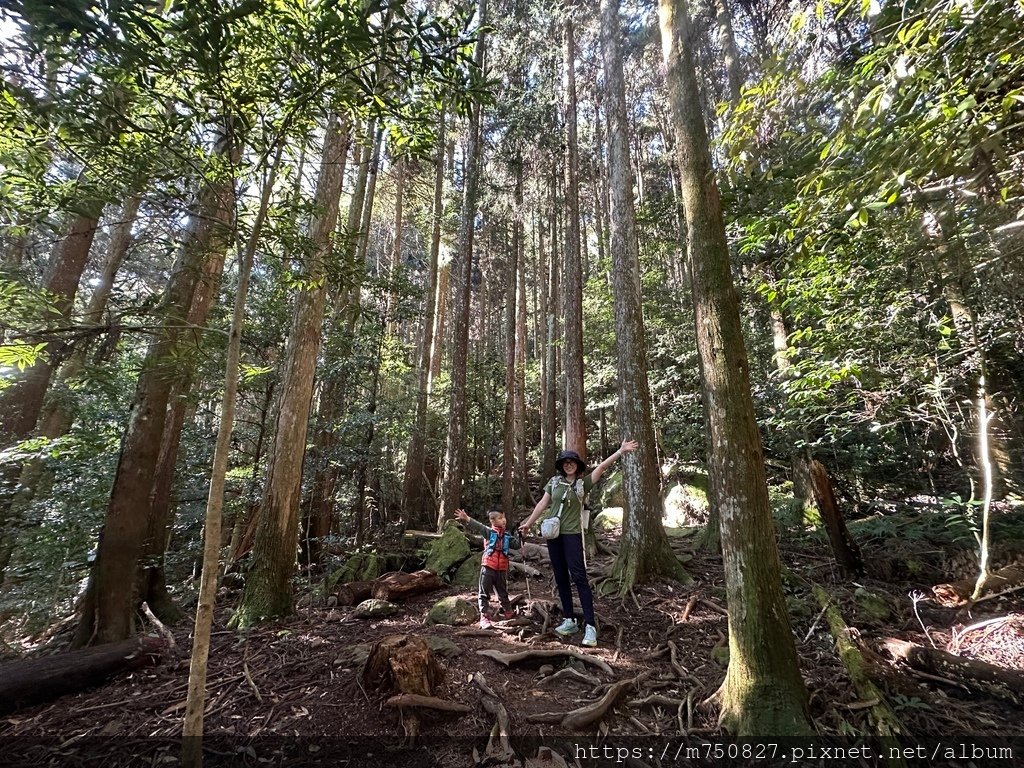 【親子登山】2023-12-09鹿場上加里山