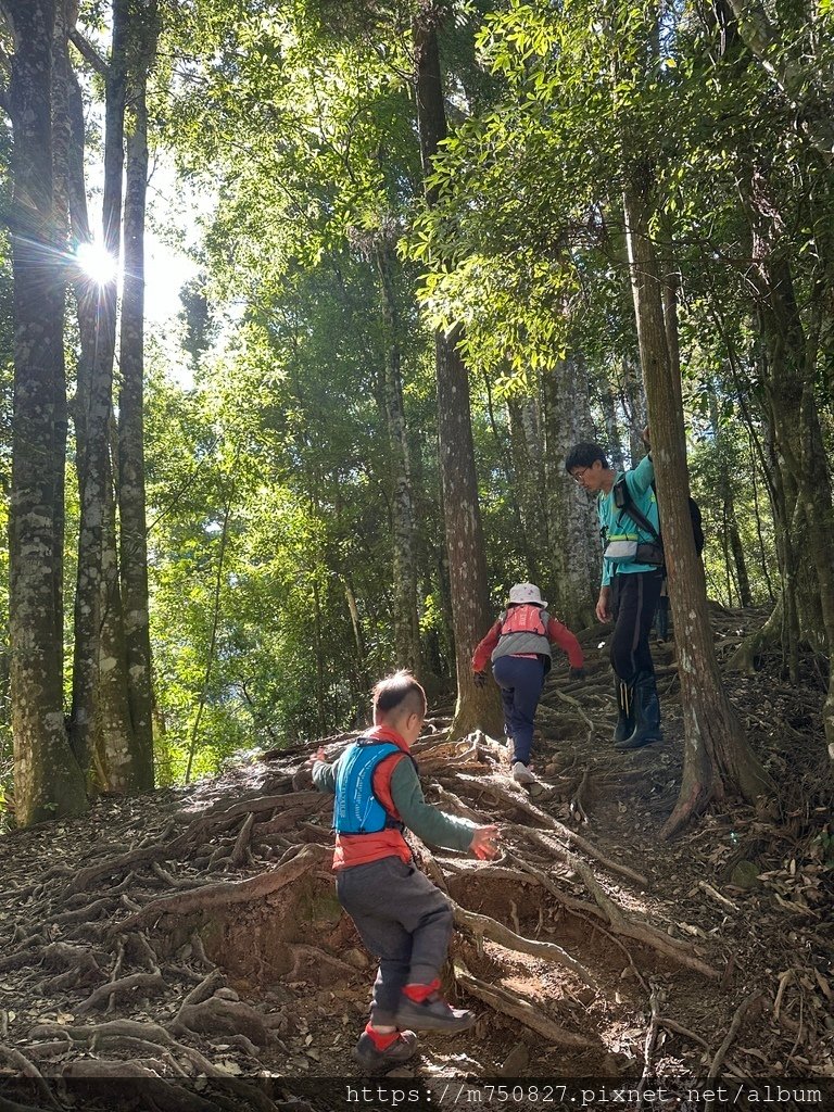 【親子登山】2023-12-09鹿場上加里山