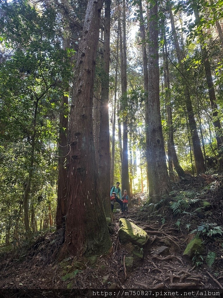 【親子登山】2023-12-09鹿場上加里山