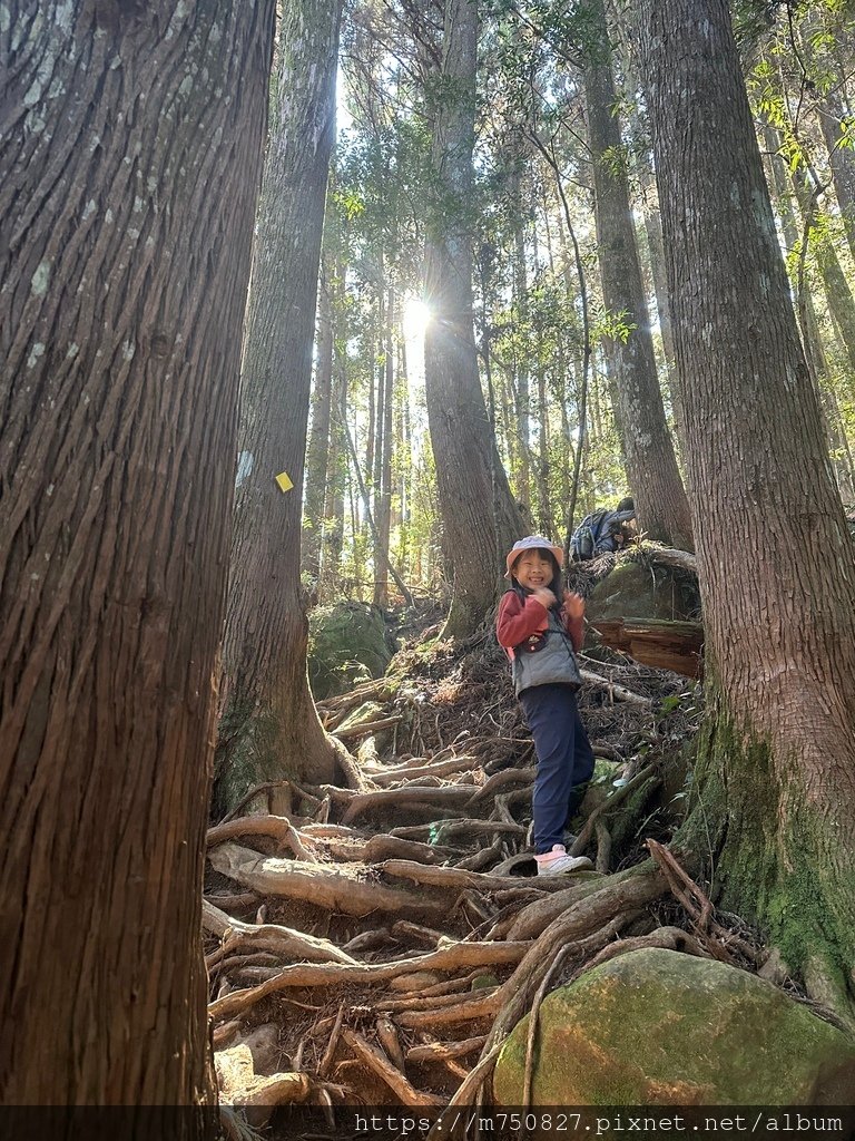 【親子登山】2023-12-09鹿場上加里山