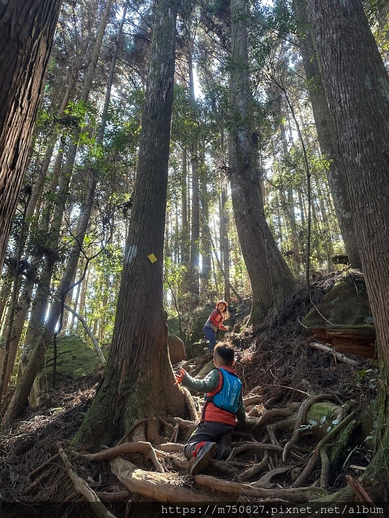 【親子登山】2023-12-09鹿場上加里山